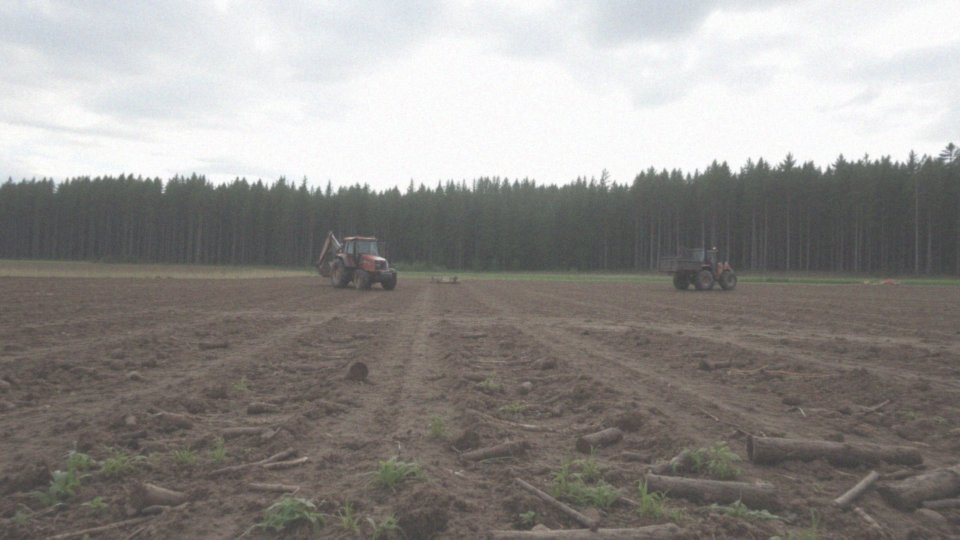 Ile czasu trwa proces odlesienia działki?